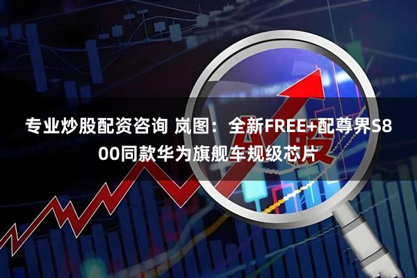 专业炒股配资咨询 岚图：全新FREE+配尊界S800同款华为旗舰车规级芯片